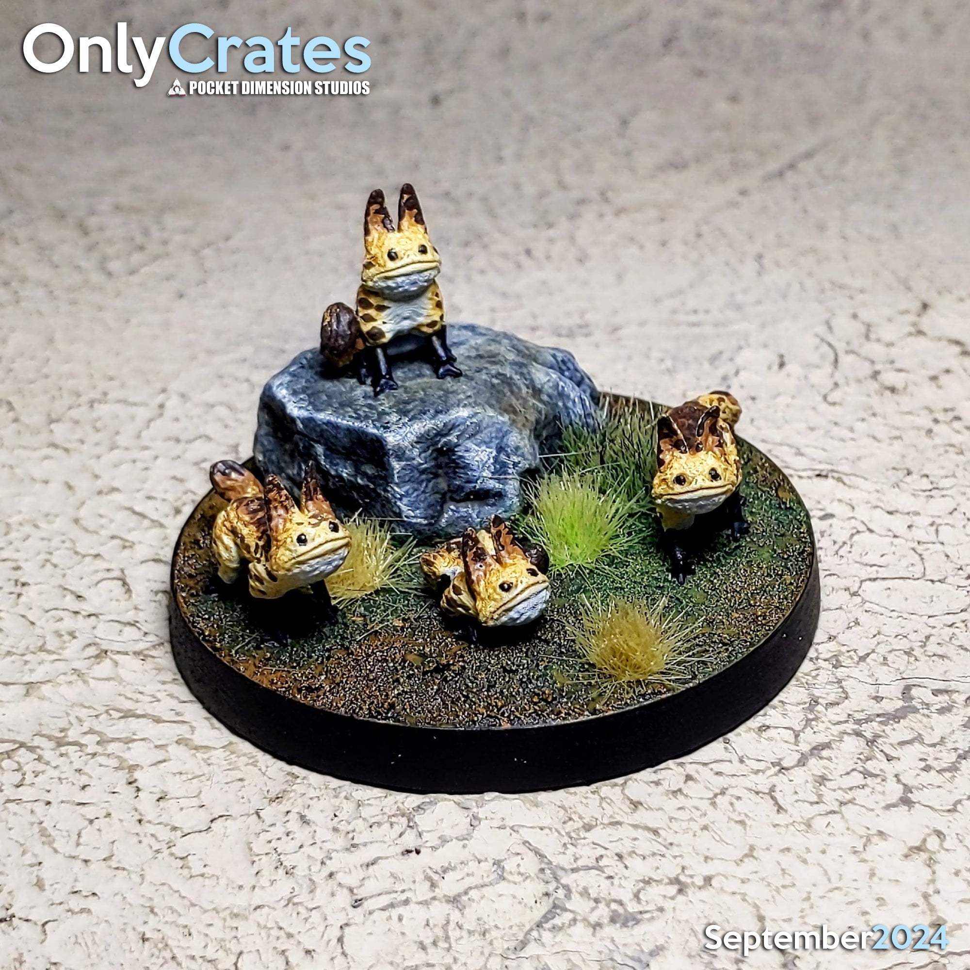 The Sloth Cats POI Token – Pocket Dimension Studios